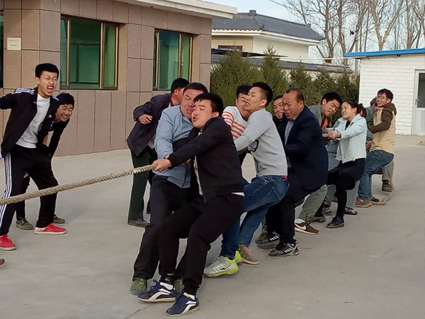 彰顯陽晨風采，弘揚陽晨精神