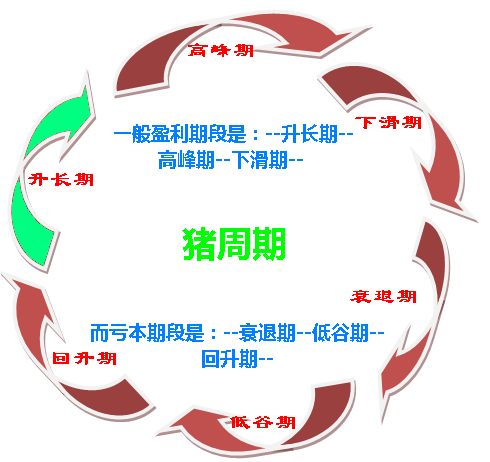 如何破解價(jià)格怪圈 化解“豬周期”風(fēng)險(xiǎn)？