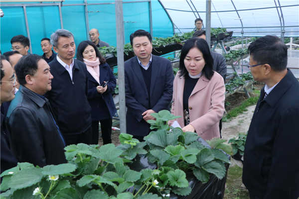 “質(zhì)量興農(nóng)萬里行”陜西站活動花落安康、走進(jìn)漢濱、風(fēng)起陽晨